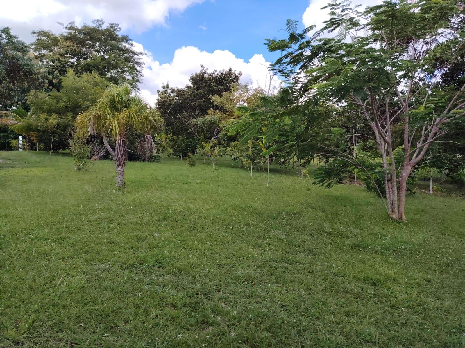 res-0000661d-19.jpg