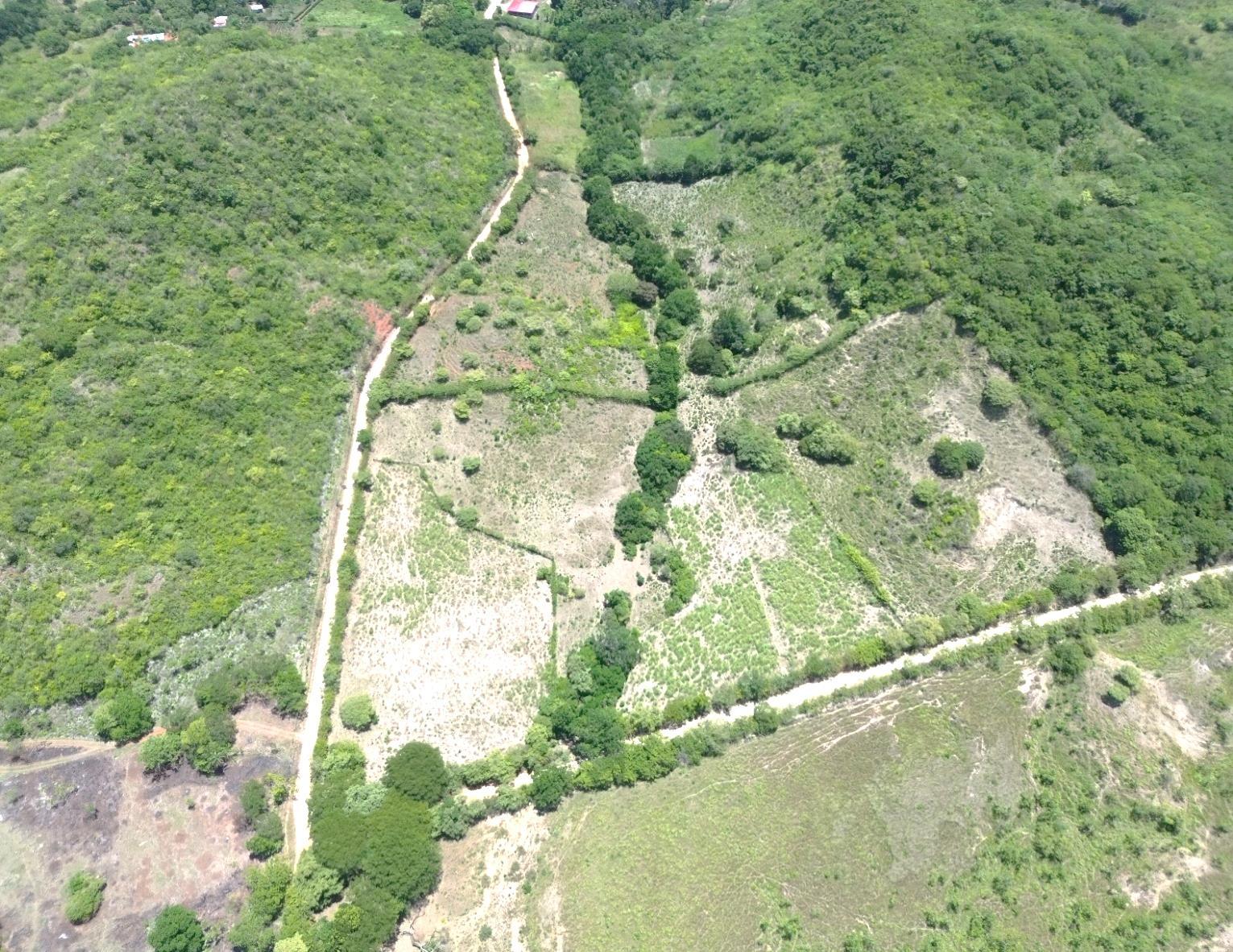 res-00006621-01.jpg