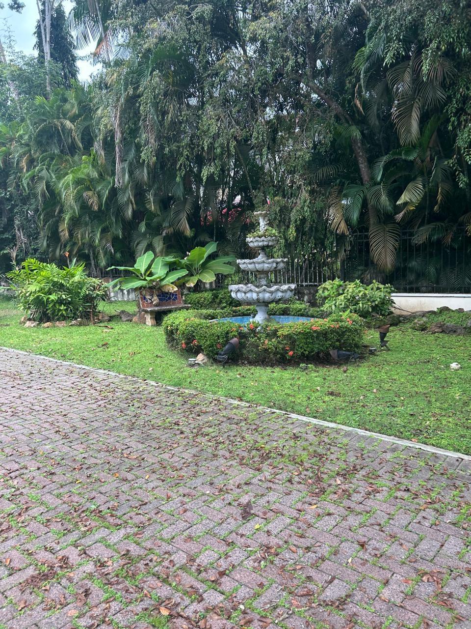 res-00006627-07.jpg