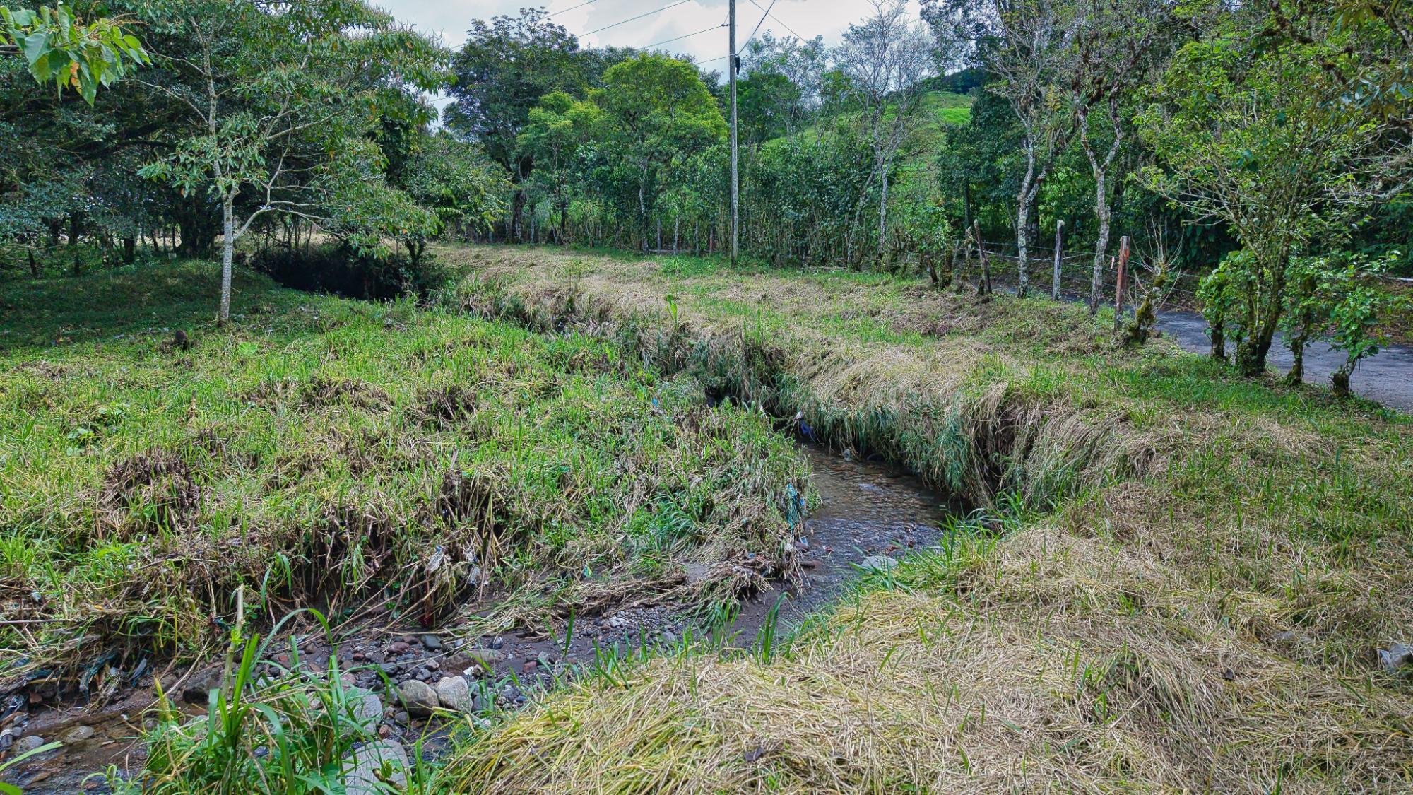 res-00006628-03.jpg