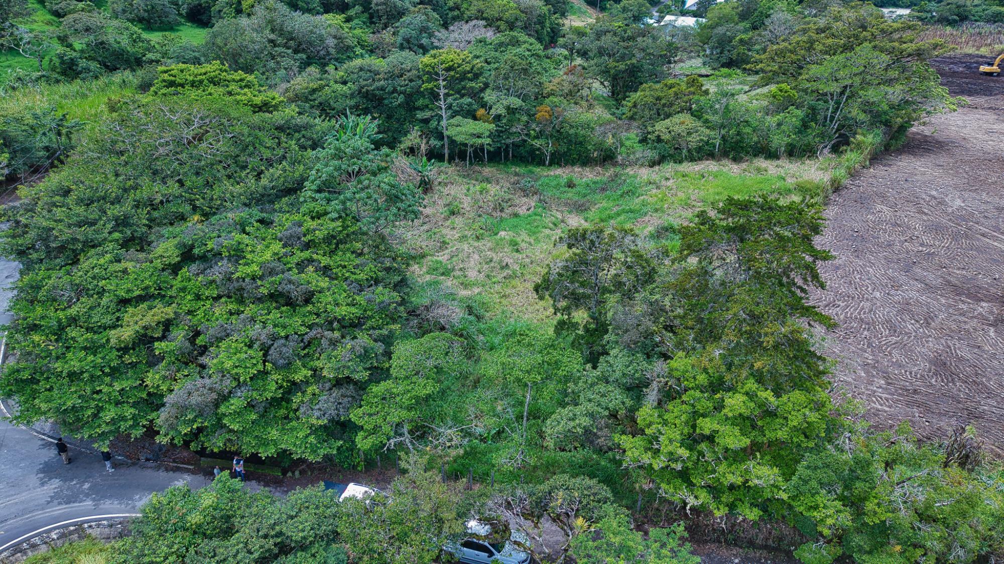 res-00006628-19.jpg