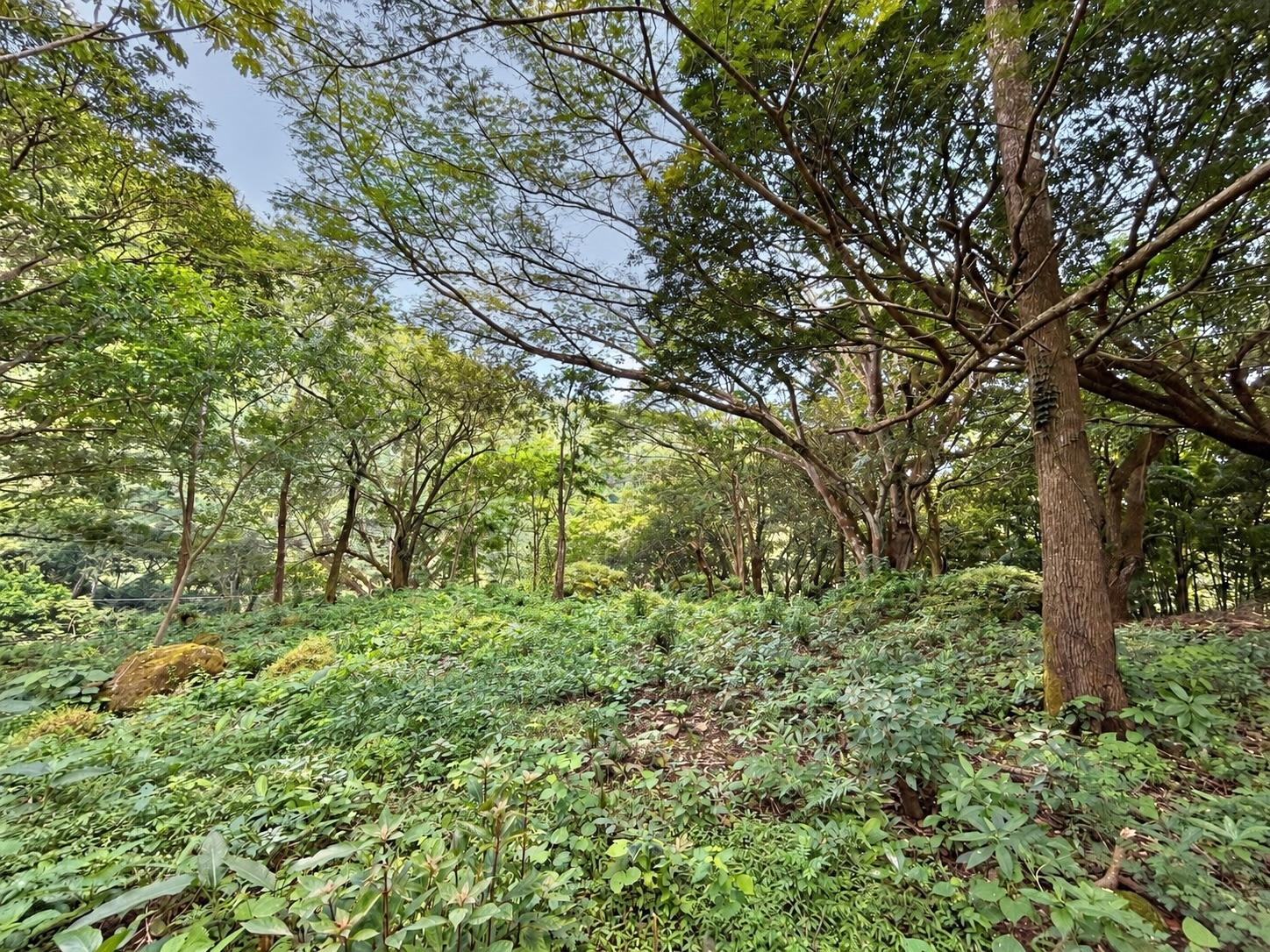 res-0000662a-01.jpg