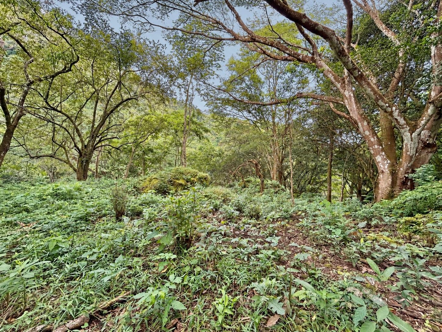 res-0000662a-02.jpg