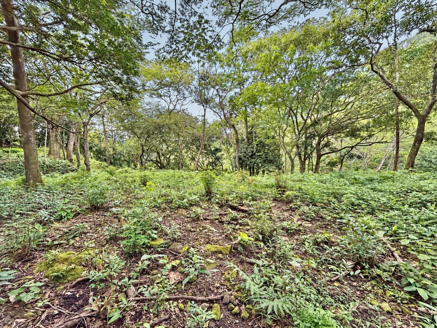 res-0000662a-03.jpg
