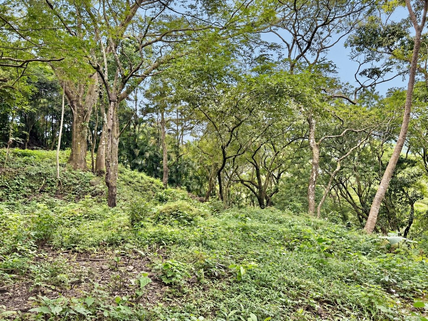 res-0000662a-04.jpg