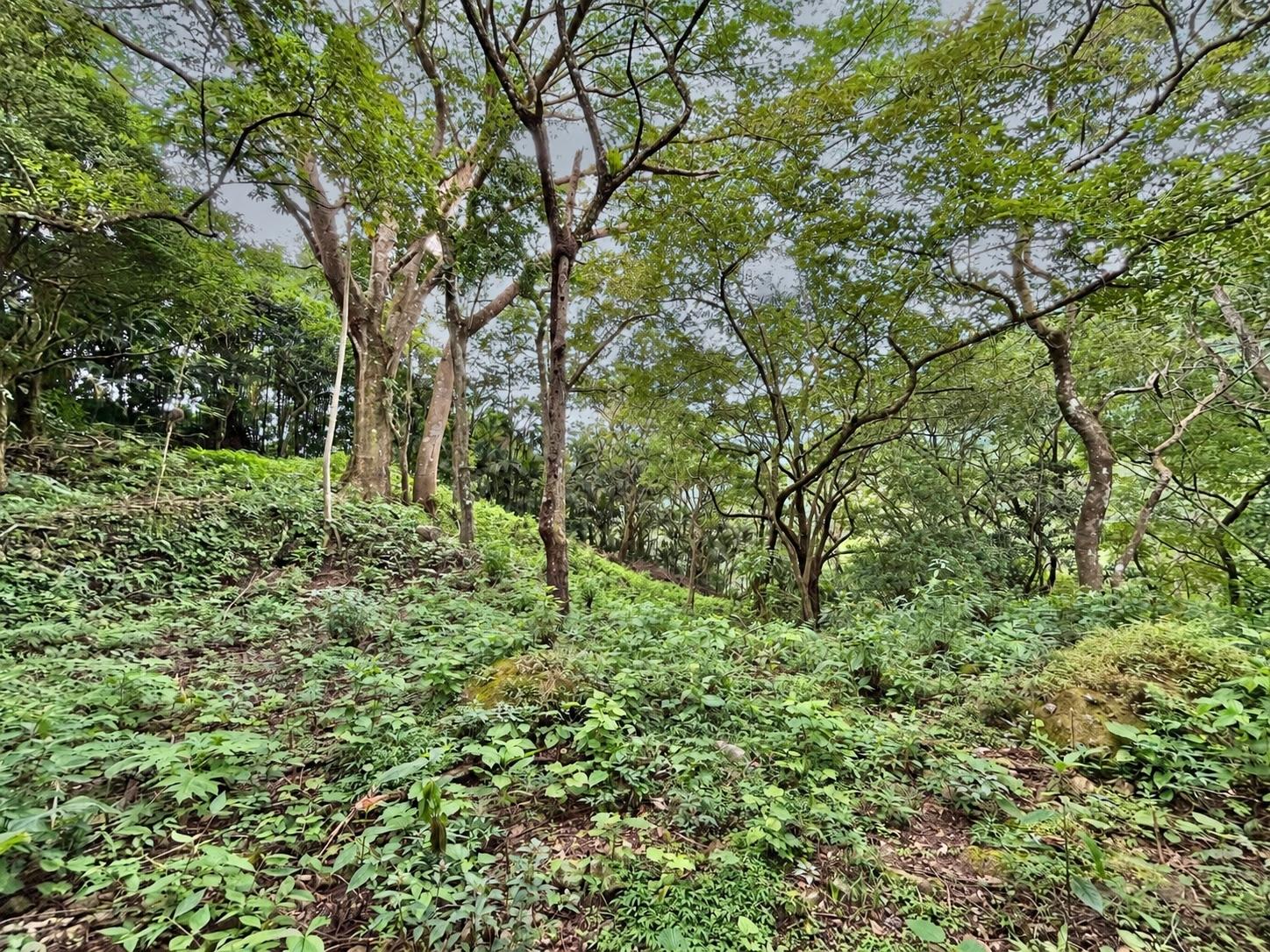 res-0000662a-05.jpg