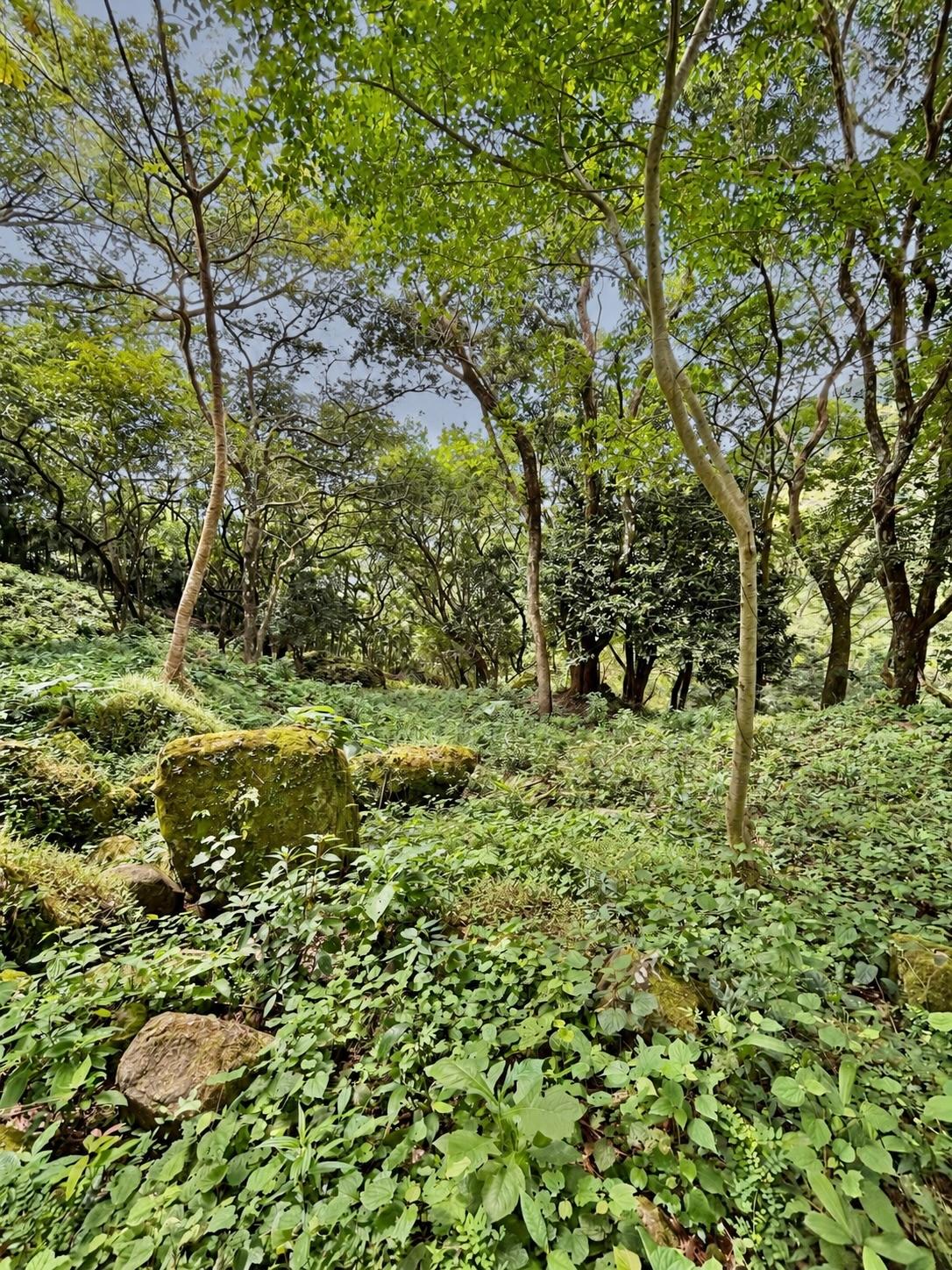res-0000662a-07.jpg