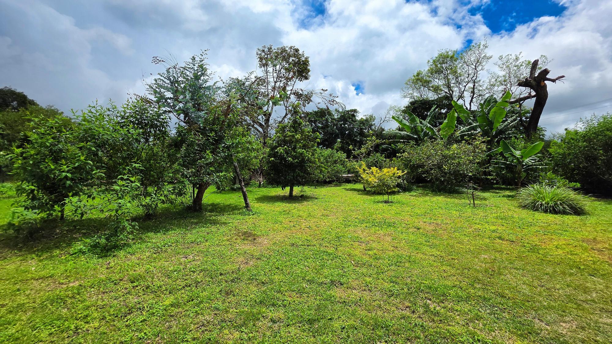 res-0000662e-18.jpg