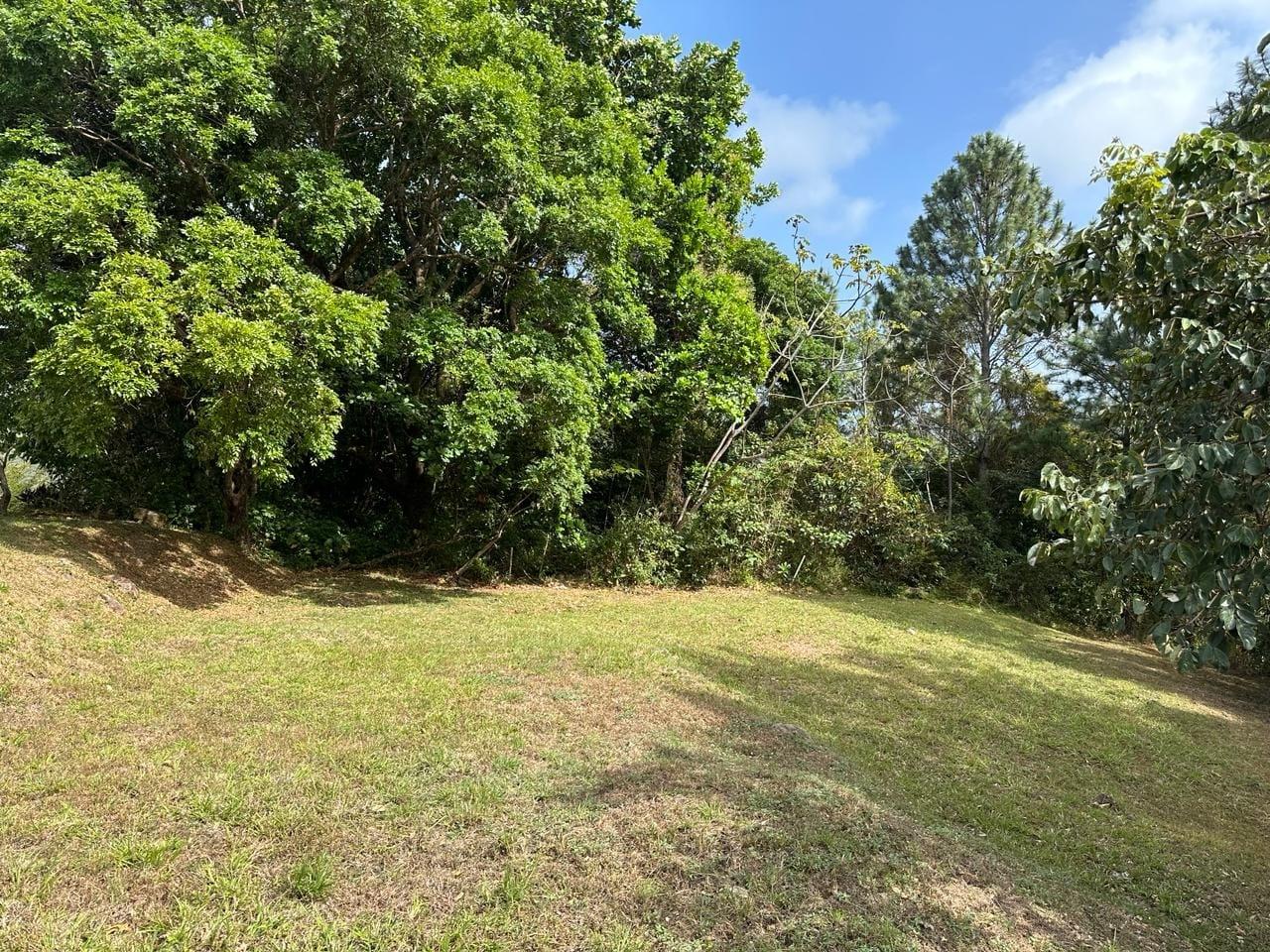 res-00006635-13.jpg