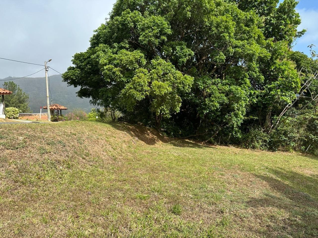 res-00006635-16.jpg