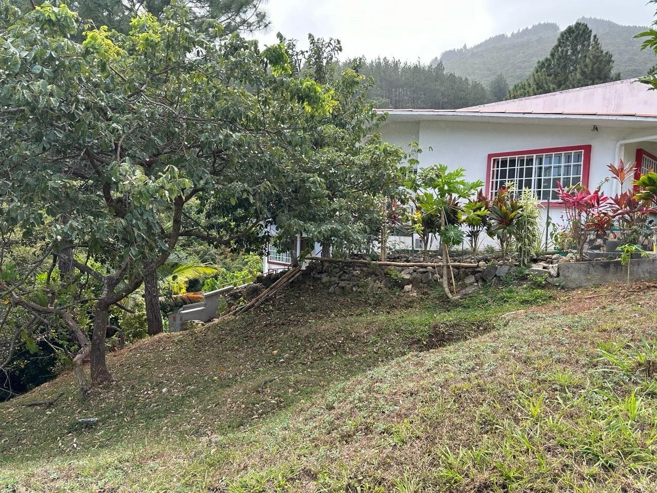 res-00006635-18.jpg