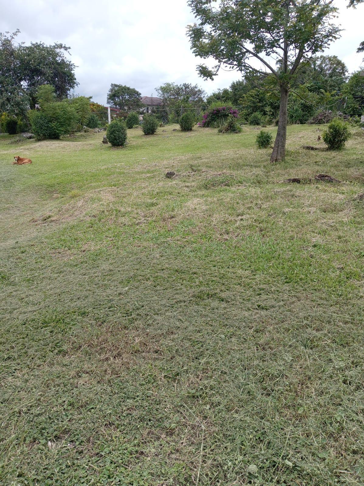 res-00006638-03.jpg
