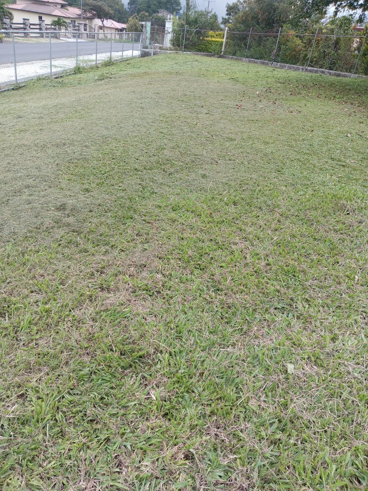 res-00006638-06.jpg