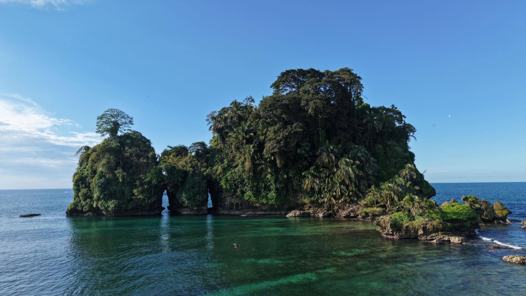 res-00006640-06.jpg
