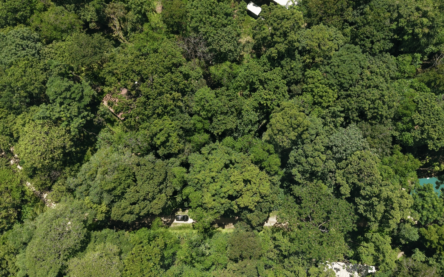 res-00006643-06.jpg
