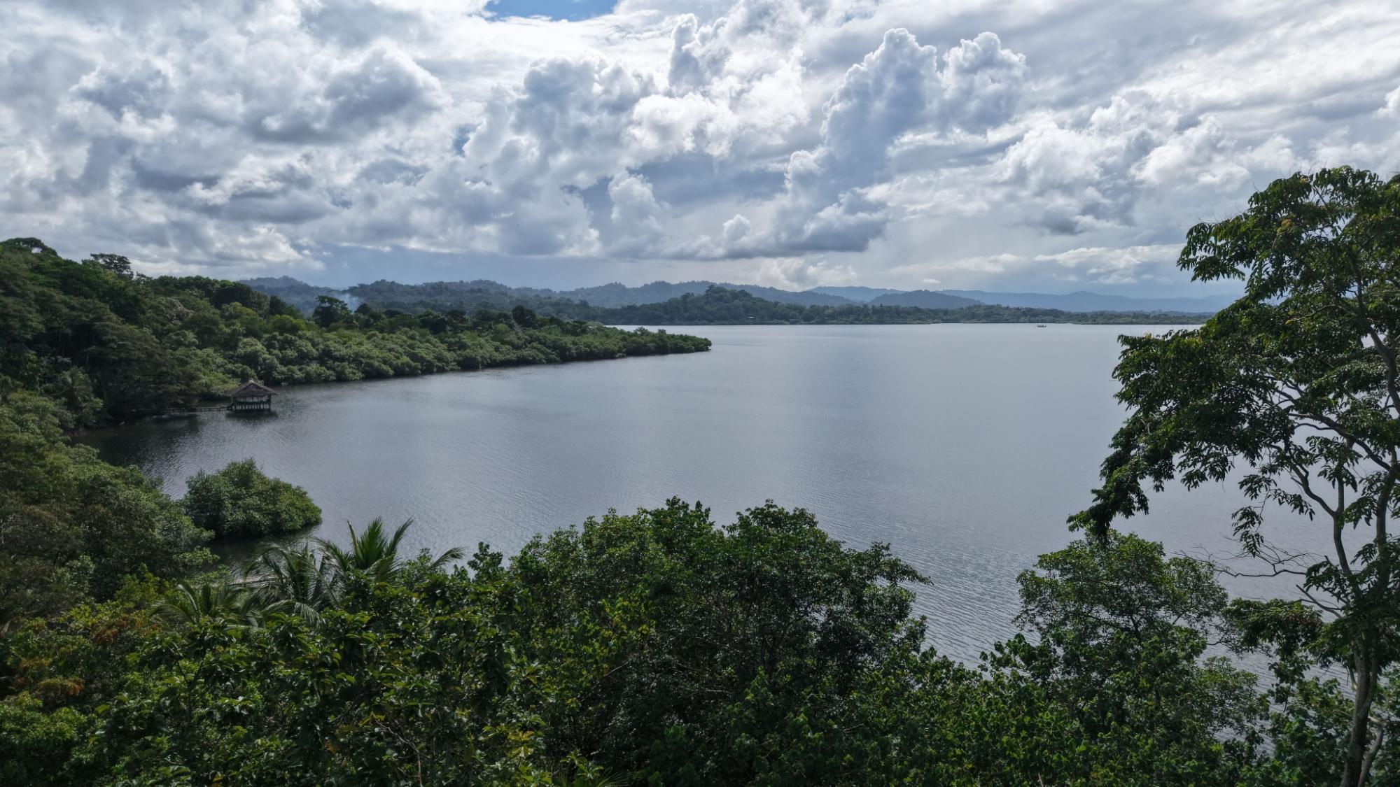 res-00006644-01.jpg