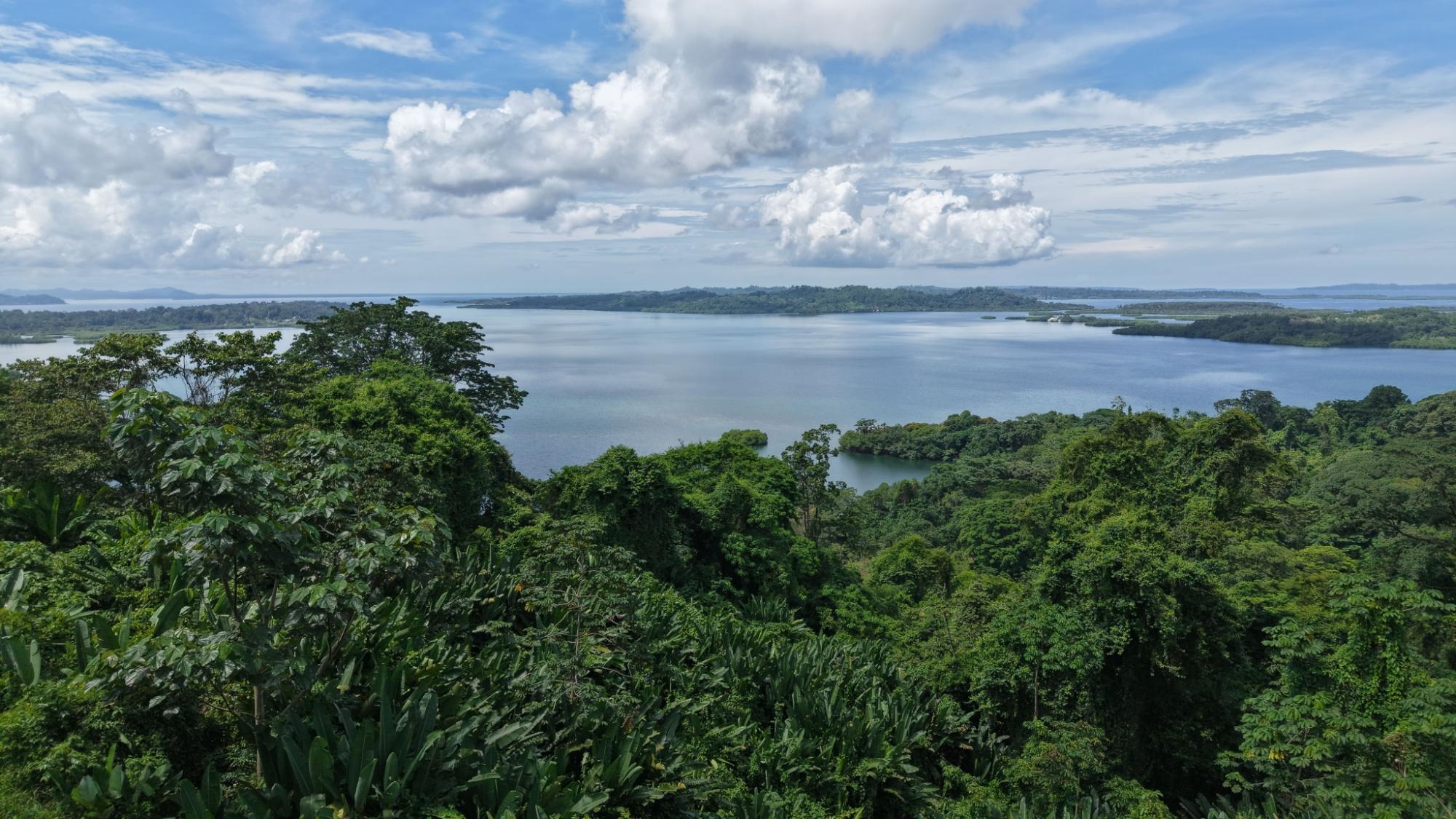 res-00006644-04.jpg