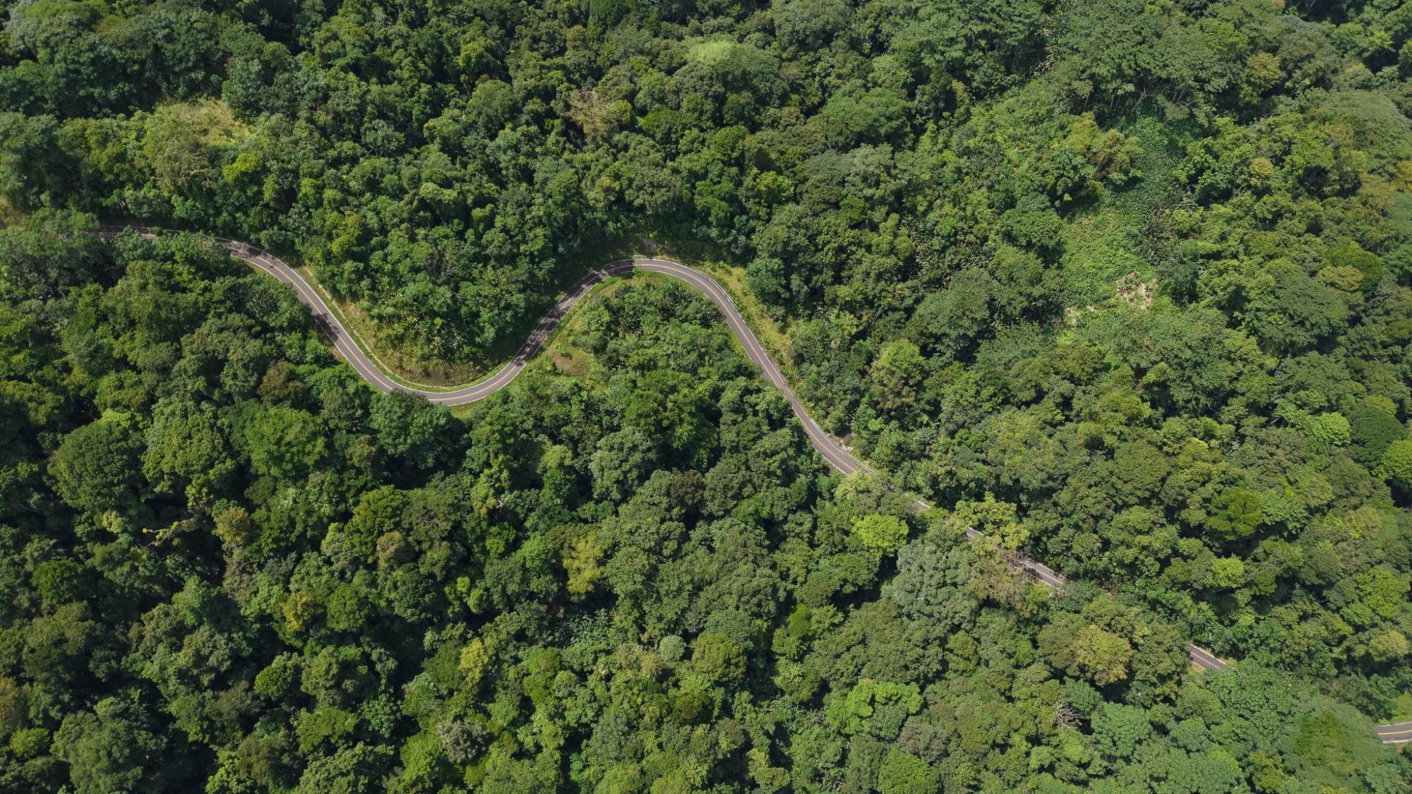 res-00006644-10.jpg