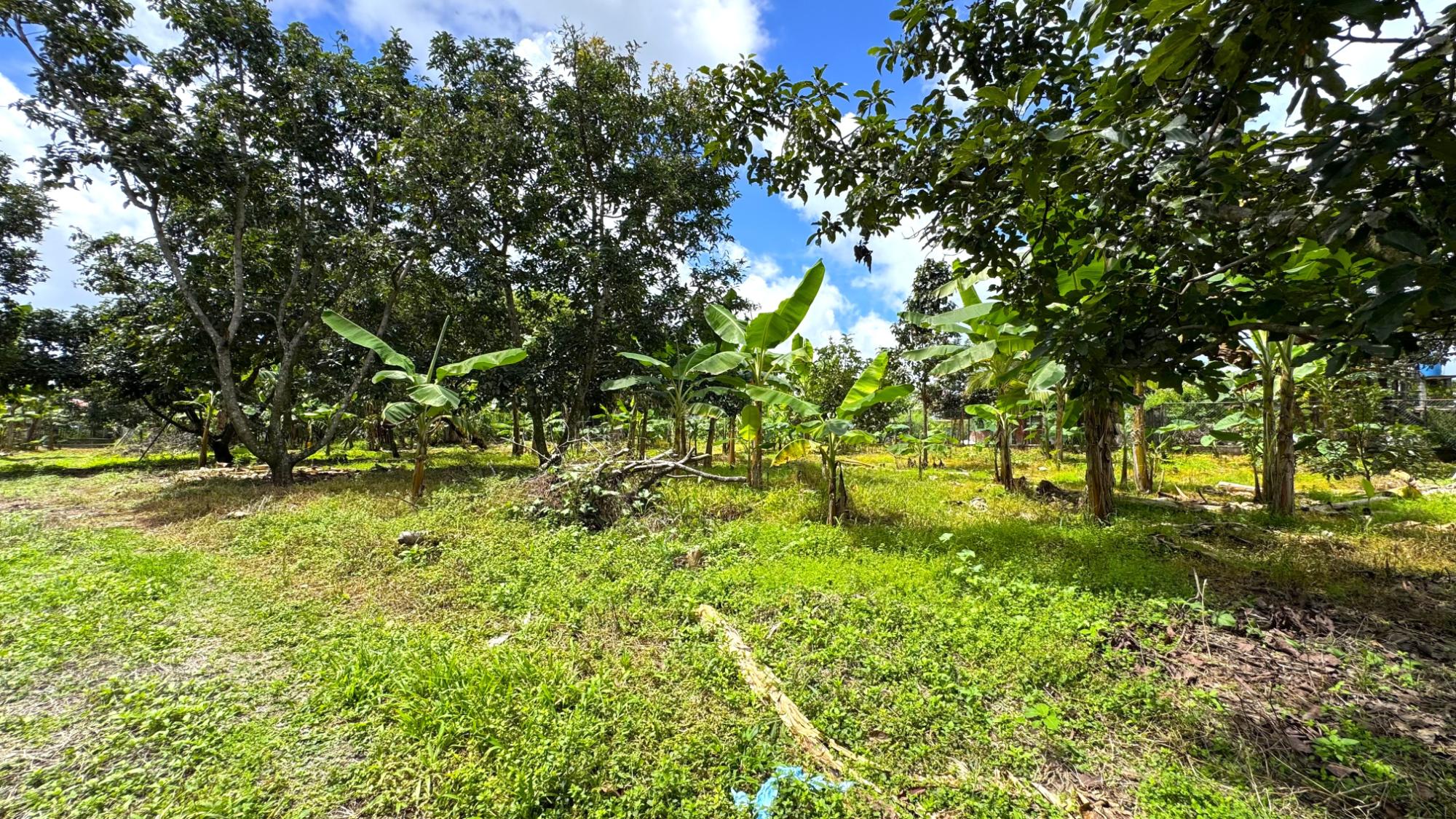 res-0000664b-05.jpg
