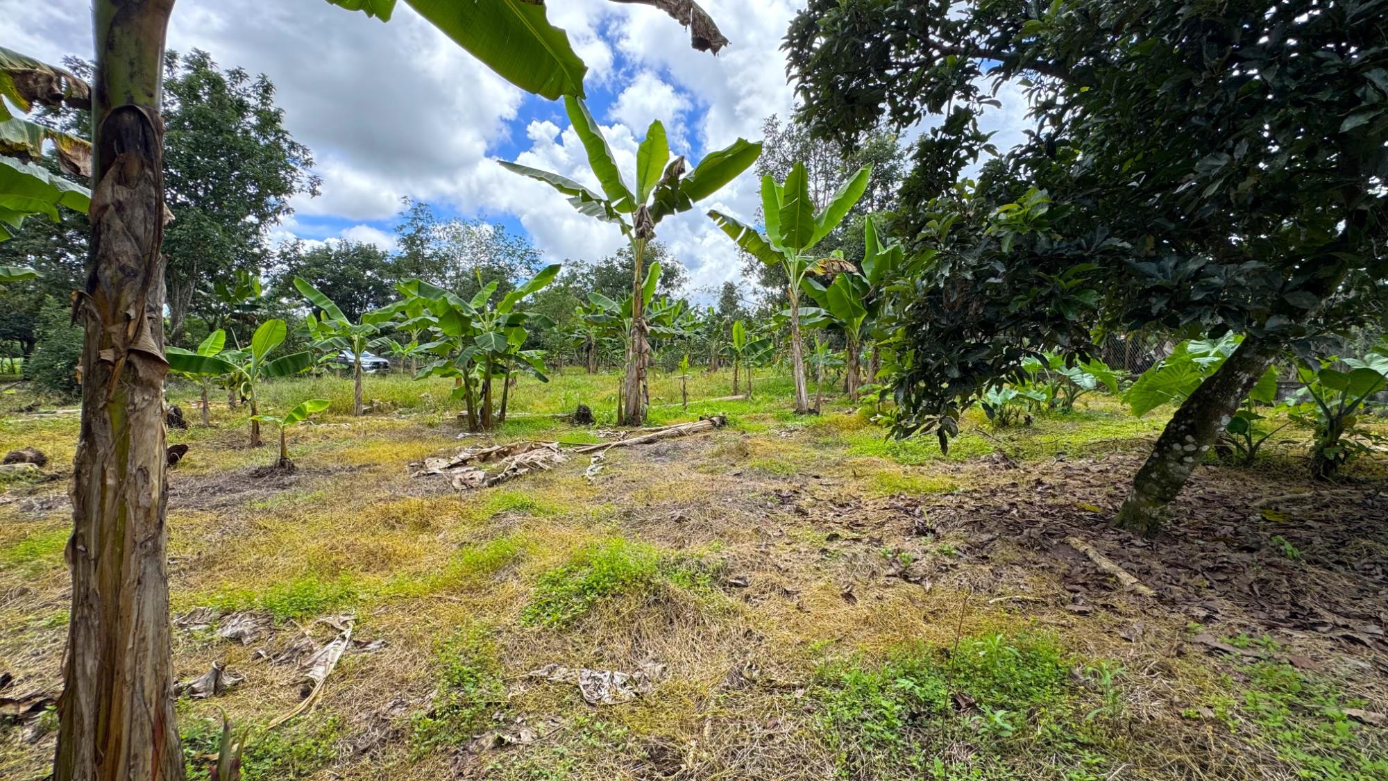 res-0000664b-06.jpg