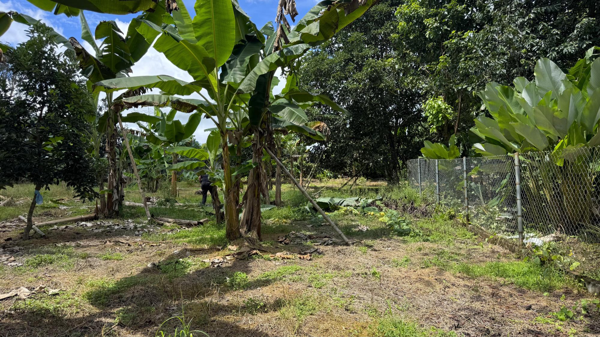 res-0000664b-08.jpg