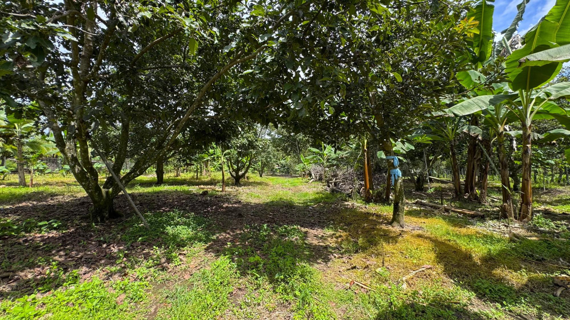 res-0000664b-09.jpg