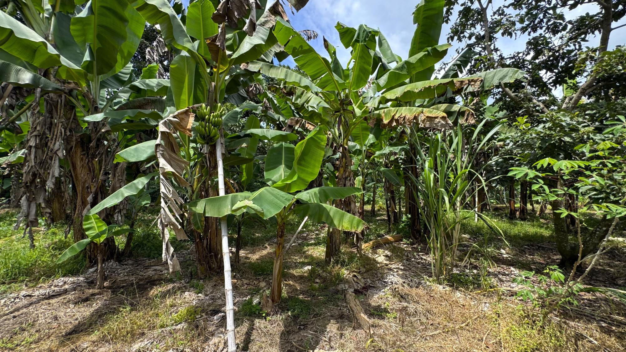 res-0000664b-13.jpg