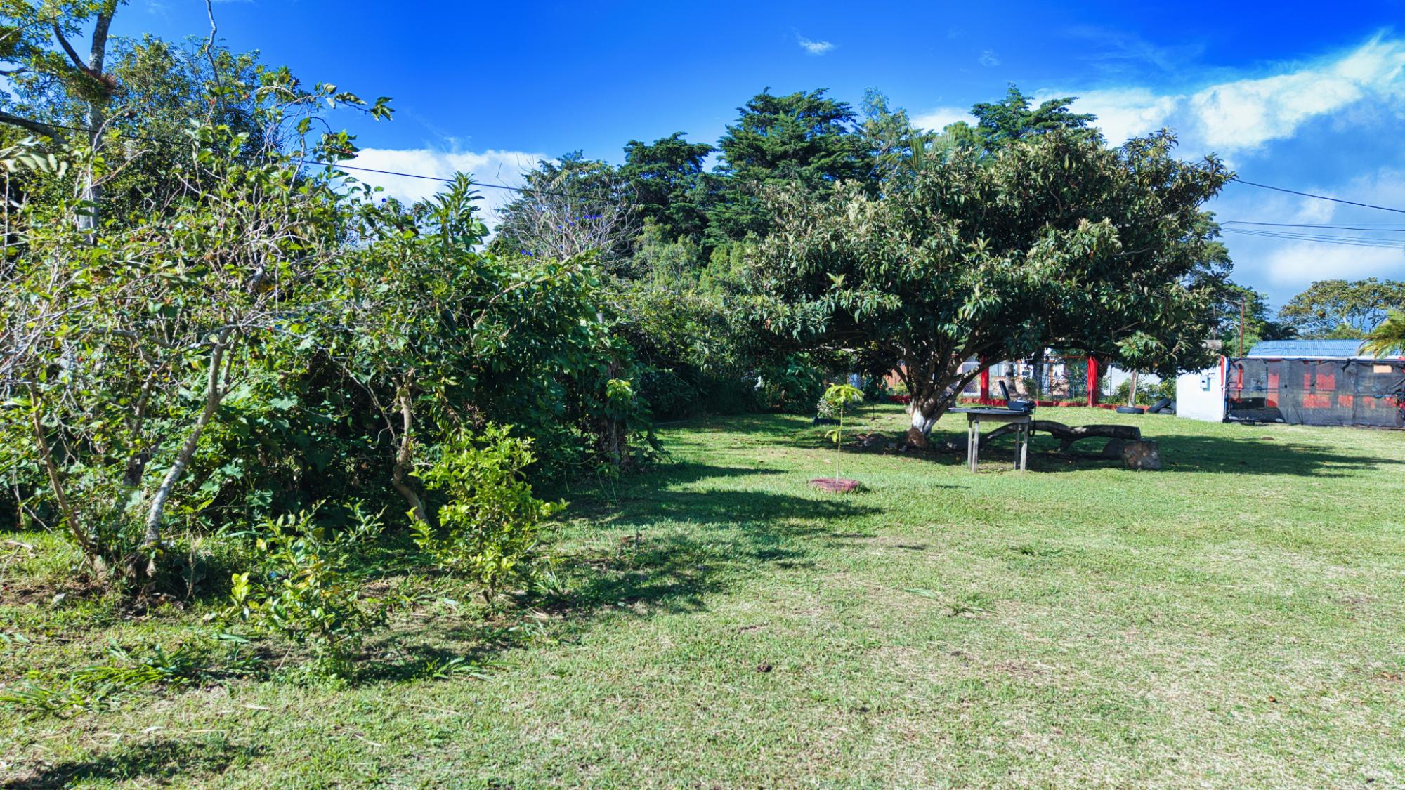 res-0000665b-14.jpg